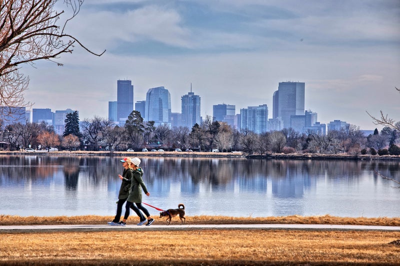 A person walking their dog in front of a river with a large city in the background