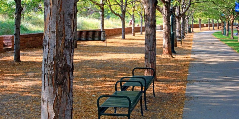 A bench during the fall in a US park.
